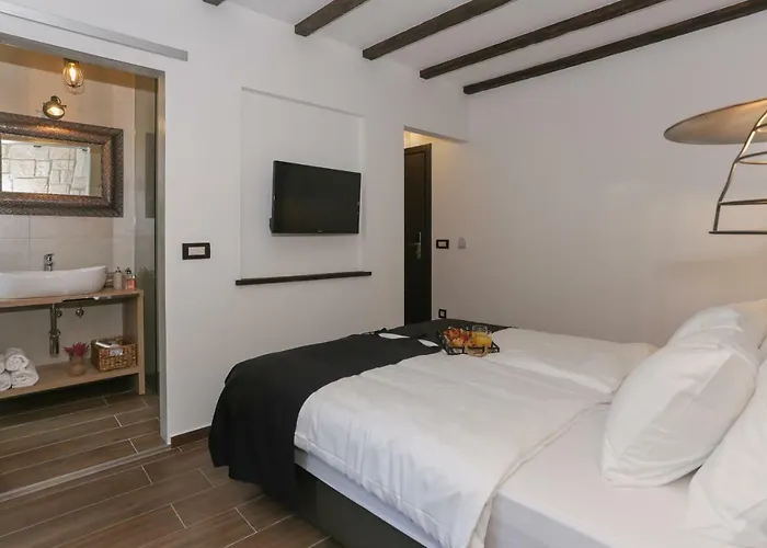 Luxury Dino Guest house